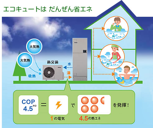 �G�R�L���[�g